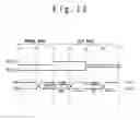 Fig. 09 - Test circuit and test method for testing differential input circuit