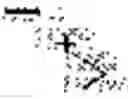 Fig. 83 - ALPHABET INPUT SYSTEM FOR MOBILE TERMINAL