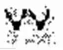 Fig. 96 - ALPHABET INPUT SYSTEM FOR MOBILE TERMINAL