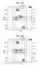 Fig. 11 - DETERMINATION APPARATUS, DETERMINATION METHOD AND DATA STORAGE MEDIUM