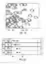 Fig. 40 - User interface for controlling animation of an object