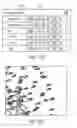 Fig. 76 - User interface for controlling animation of an object