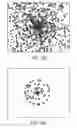 Fig. 83 - User interface for controlling animation of an object