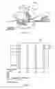 Fig. 24 - PRINTING METHOD, STORAGE MEDIUM, MEDIUM, PRINTING APPARATUS, METHOD FOR DETECTING END OF IMAGE, METHOD FOR DETECTING CARRYING UNEVENNESS OF MEDIUM, AND DEVICE FOR DETECTING CARRYING UNEVENNESS OF MEDIUM