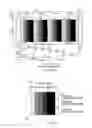 Fig. 30 - PRINTING METHOD, STORAGE MEDIUM, MEDIUM, PRINTING APPARATUS, METHOD FOR DETECTING END OF IMAGE, METHOD FOR DETECTING CARRYING UNEVENNESS OF MEDIUM, AND DEVICE FOR DETECTING CARRYING UNEVENNESS OF MEDIUM