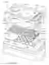 Fig. 266 - Fluid ejection device with overlapping firing chamber and drive FET