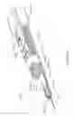 Fig. 559 - Fluid ejection device with overlapping firing chamber and drive FET