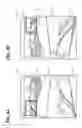 Fig. 04 - Vehicle periphery displaying apparatus