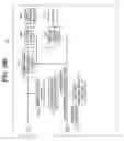 Fig. 12 - Image pickup apparatus and image pickup method
