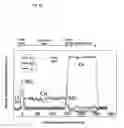Fig. 33 - Liquid crystal display device and manufacturing method therefor