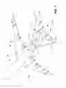 Fig. 07 - Calibrating aircraft surfaces