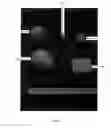 Fig. 02 - ANATOMICALLY REALISTIC THREE DIMENSIONAL PHANTOMS FOR MEDICAL IMAGING