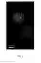 Fig. 03 - ANATOMICALLY REALISTIC THREE DIMENSIONAL PHANTOMS FOR MEDICAL IMAGING
