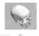 Fig. 05 - ANATOMICALLY REALISTIC THREE DIMENSIONAL PHANTOMS FOR MEDICAL IMAGING