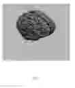 Fig. 06 - ANATOMICALLY REALISTIC THREE DIMENSIONAL PHANTOMS FOR MEDICAL IMAGING