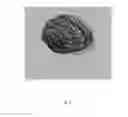 Fig. 07 - ANATOMICALLY REALISTIC THREE DIMENSIONAL PHANTOMS FOR MEDICAL IMAGING