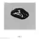 Fig. 08 - ANATOMICALLY REALISTIC THREE DIMENSIONAL PHANTOMS FOR MEDICAL IMAGING