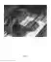 Fig. 15 - ANATOMICALLY REALISTIC THREE DIMENSIONAL PHANTOMS FOR MEDICAL IMAGING