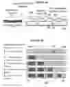 Fig. 07 - Dynamic imaging and/or identification apparatus and method thereof