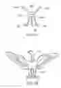 Fig. 07 - SYSTEMS, METHODS AND APPARATUSES FOR PROVIDING BODY-SHAPED PENHOLDERS