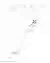 Fig. 02 - Snow transportation system