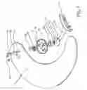 Fig. 02 - Blade assembly for a ceiling fan