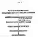 Fig. 02 - Mg BASE ALLOY