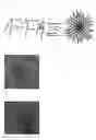 Fig. 02 - Substance-encapsulating carbon nanohorn aggregate and process for producing the same