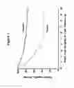 Fig. 06 - B7-H3 IN CANCER