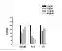 Fig. 01 - METHOD AND COMPOSITION FOR TREATING IMMUNE COMPLEX ASSOCIATED DISORDERS