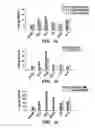 Fig. 08 - METHOD AND COMPOSITION FOR TREATING IMMUNE COMPLEX ASSOCIATED DISORDERS
