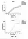 Fig. 10 - METHOD AND COMPOSITION FOR TREATING IMMUNE COMPLEX ASSOCIATED DISORDERS