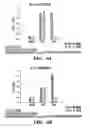Fig. 11 - METHOD AND COMPOSITION FOR TREATING IMMUNE COMPLEX ASSOCIATED DISORDERS