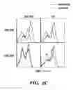 Fig. 12 - METHOD AND COMPOSITION FOR TREATING IMMUNE COMPLEX ASSOCIATED DISORDERS