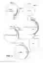 Fig. 02 - COMPOSITIONS AND METHODS FOR TREATING INTRACELLULAR DISEASES