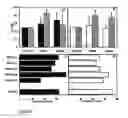Fig. 02 - Attack of tumor cells with missing, low or aberrant MHC expression by combining non MHC-restricted T-cells/NK-cells and MHC-restricted cells