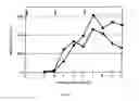 Fig. 05 - METHOD FOR DELIVERING A HUMAN CHORIONIC GONADOTROPIN (Hcg) VACCINE FOR LONG-ACTING ANTIBODY PROTECTION