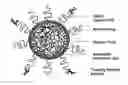 Fig. 01 - Amphiphilic compound assisted nanoparticles for targeted delivery