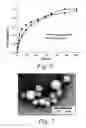 Fig. 06 - Amphiphilic compound assisted nanoparticles for targeted delivery