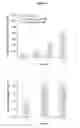 Fig. 07 - Encapsulation and controlled release of small molecules for intracellular delivery using thermally responsive nanocapsules