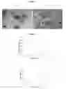 Fig. 08 - Encapsulation and controlled release of small molecules for intracellular delivery using thermally responsive nanocapsules