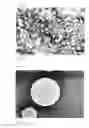 Fig. 02 - Microspheres having core/shell structure