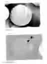 Fig. 03 - Microspheres having core/shell structure