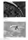 Fig. 04 - Microspheres having core/shell structure