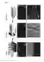 Fig. 03 - Resin complex containing carbon nanotube and method for production thereof
