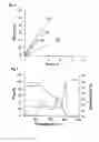 Fig. 05 - Resin complex containing carbon nanotube and method for production thereof