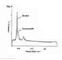 Fig. 06 - Resin complex containing carbon nanotube and method for production thereof