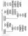 Fig. 02 - Sintered body, resin particles and method for producing the same