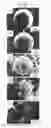 Fig. 02 - ETHYLENE-BASED RESIN COMPOSITE PARTICLE AND ENVIRONMENTALLY FRIENDLY METHOD FOR PREPARING THE SAME