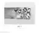 Fig. 04 - PROTECTIVE CARBON COATINGS